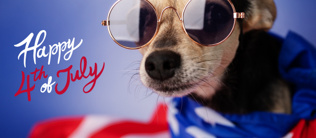 Denver Real Estate Review July 2025