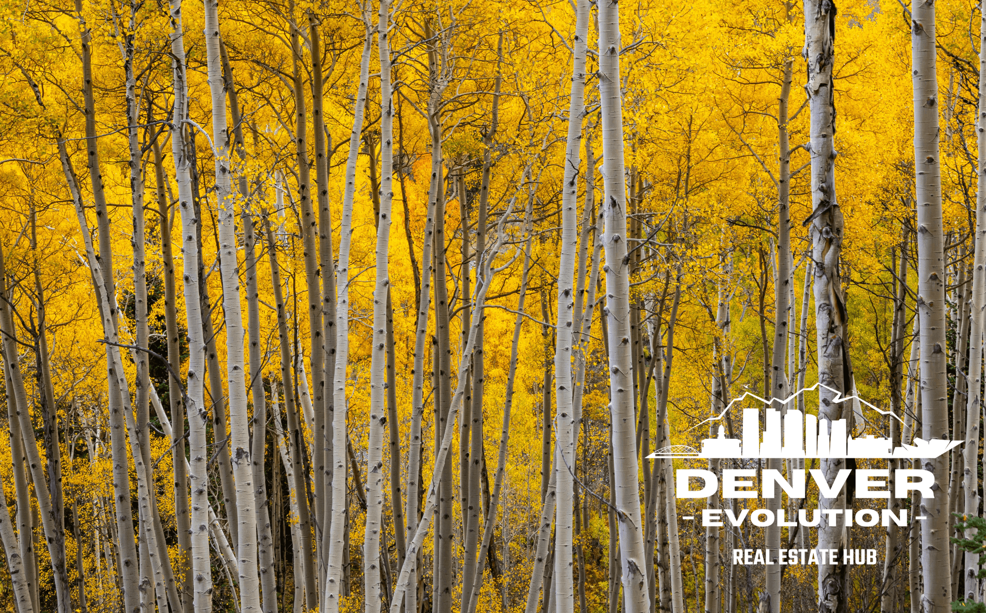 Denver Real Estate Review September 2025