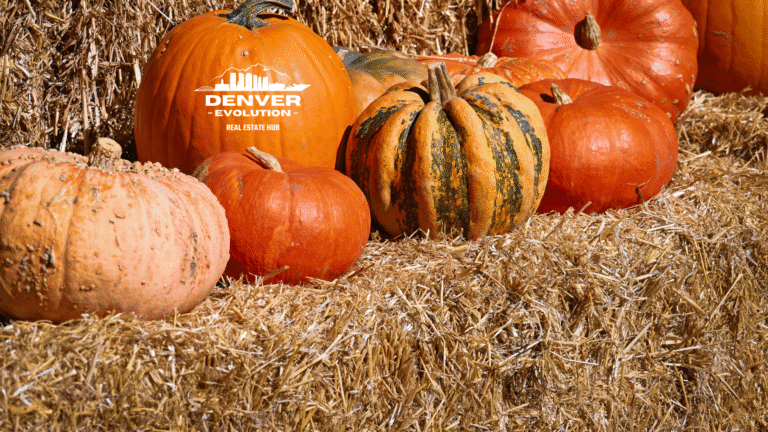 The Denver Real Estate Review October 2025